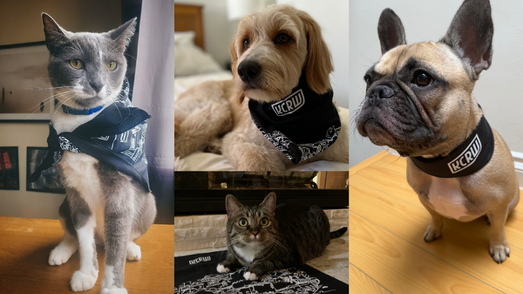 Donate $30+ for the KCRW bandana and leave your pet’s name, and what kind of critter they are in the comments — we'll be shouting out pets all day!