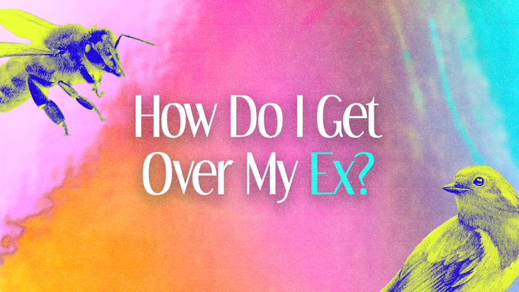 How do I navigate casual dating? How do I get over my ex? And is dating possible when I’m asexual?