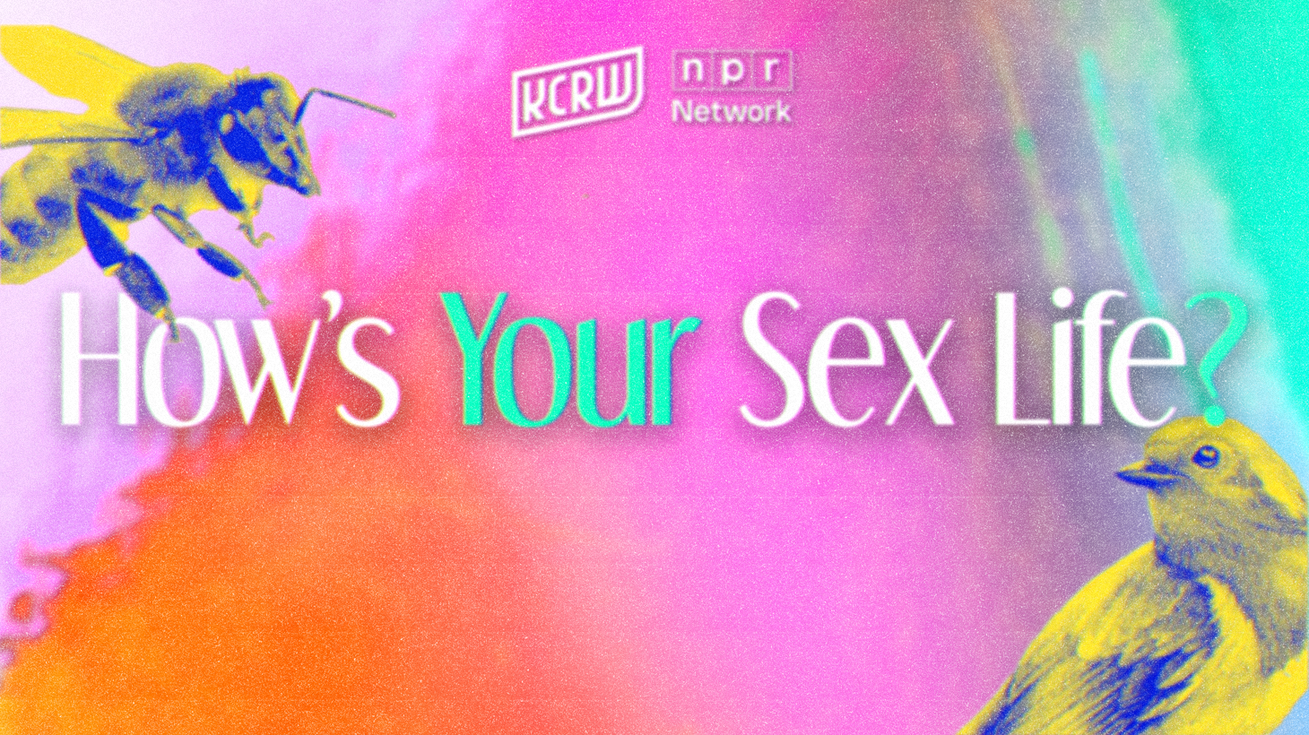 While we’re off this week, you can catch up on past episodes about kink, self-love, and orgasms right here in the podcast feed. And send your sex and dating questions to sexlife at KCRW dot org.