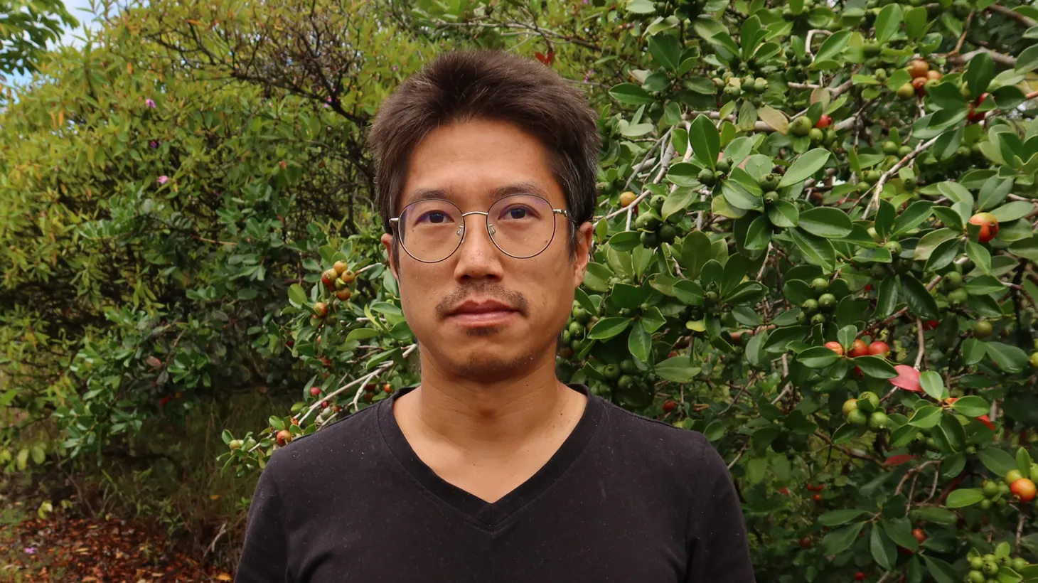Author Tao Lin.