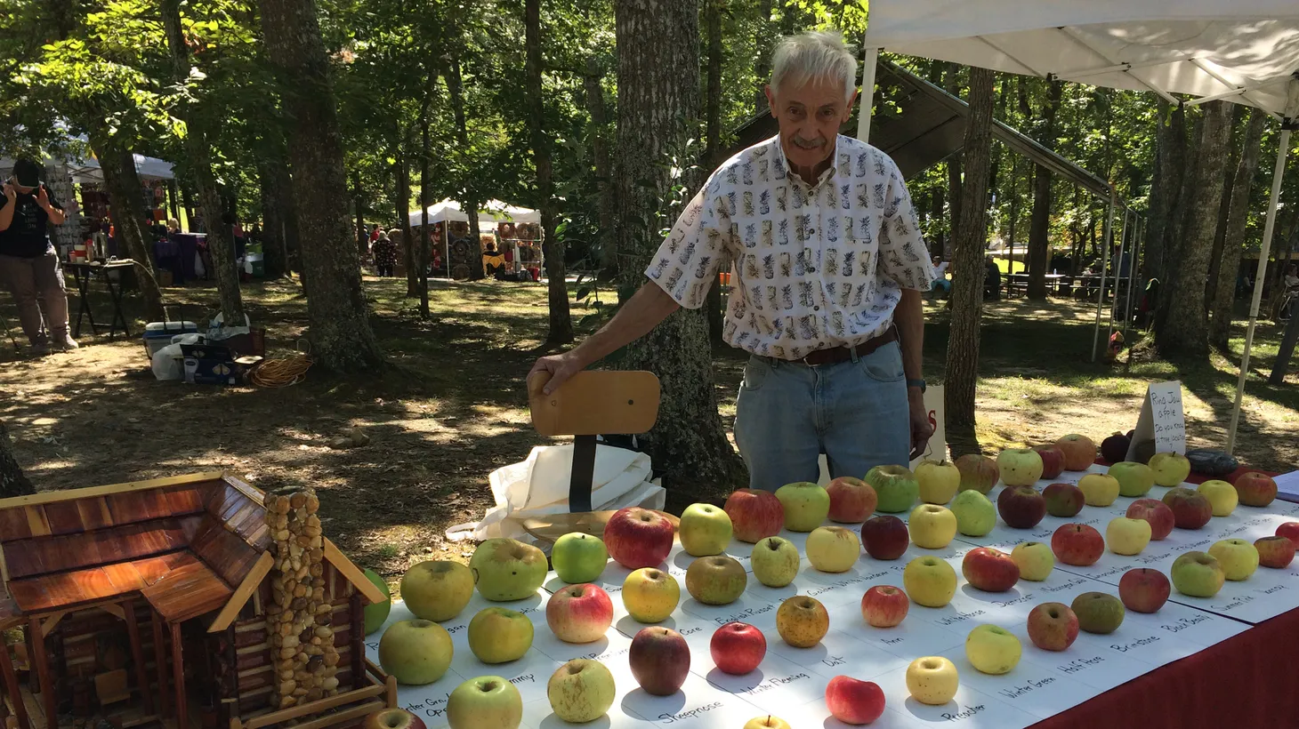 Tom Brown and his apple display at the Mountaineer Folk Festival in Fall Creek Falls State Park, TN.