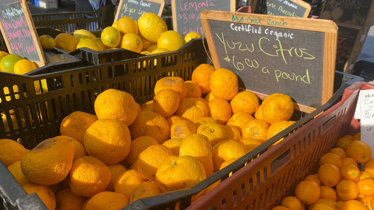 Yuzu citrus hits notes of jasmine and orange blossom and has just become more popular in Southern California farmers’ markets.