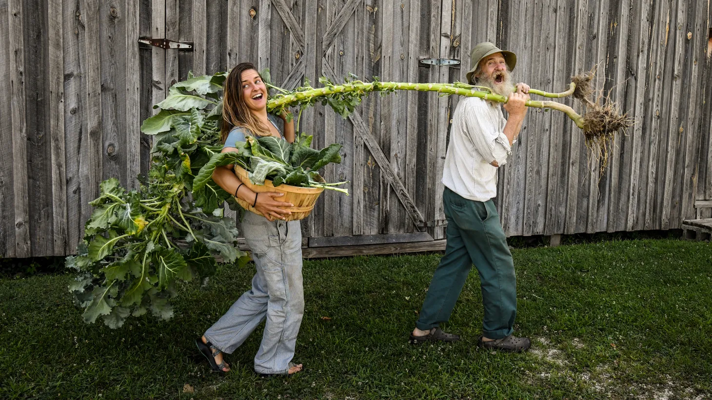 Shannie McCabe (left) and Dave Kaiser carry a Walking Stick kale plant.