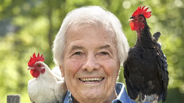 Jacques Pépin has been painting chickens almost as long as he has been roasting the poultry.