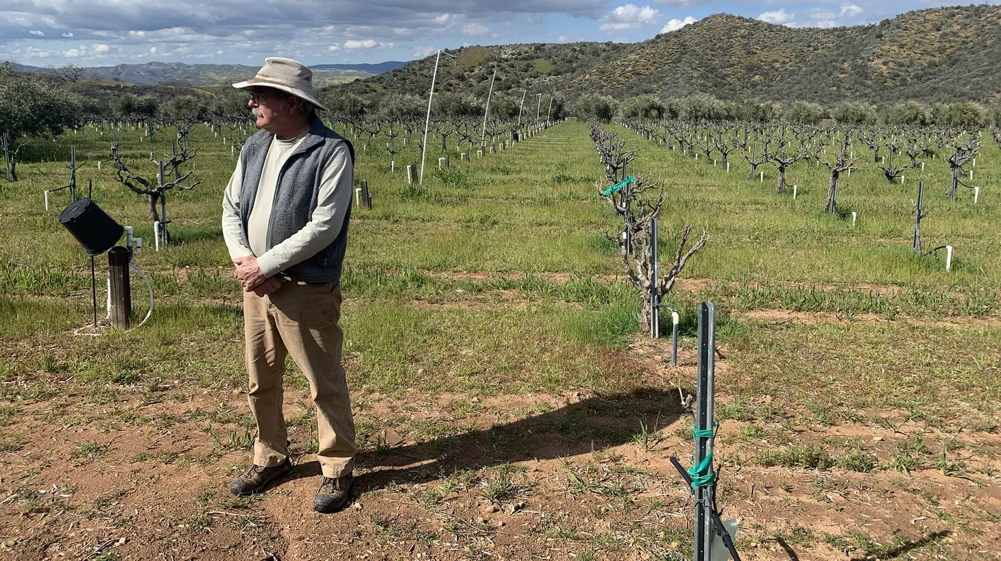 Steve Gliessman farms five acres of grapes at his Condor's Hope vineyard in the Cuyama Basin, where he is fighting two agricultural giants for water.