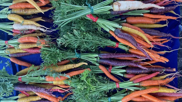 Karen Beverlin has made a career of hunting down the best produce for chefs. She shares why carrots taste sweeter in cooler temps.
