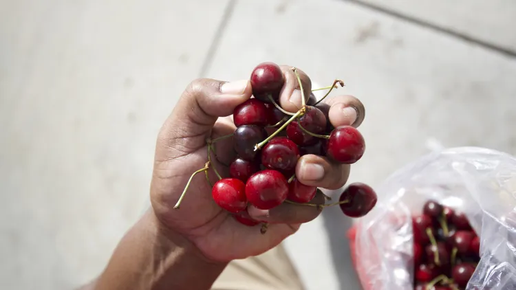 From the Underground Railroad to the Oregon Trail, KCRW's Tyler Boudreaux traces the history of the Black Republican cherry.