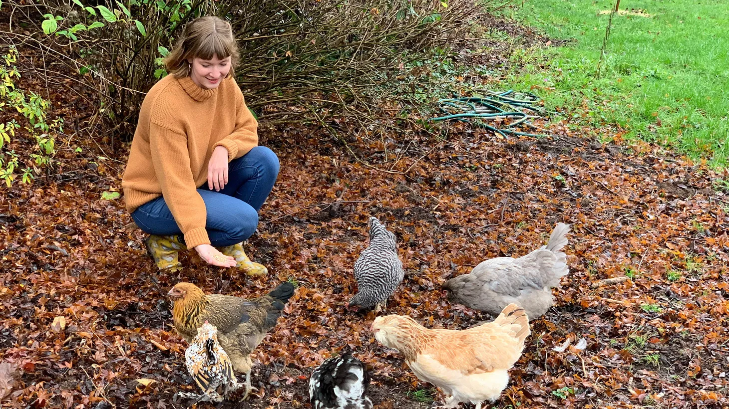 Raising chickens runs in Tove Danovich’s family, whose great-grandmother was gifted a coop by her husband as a wedding gift.