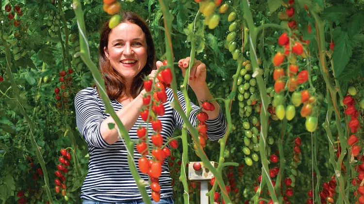 British writer Louise Gray evaluates how far her produce travels compared to fruit and veg for a typical Californian.
