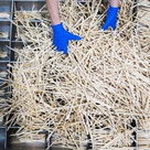 Farmers unionize, recycling chopsticks, spring peas