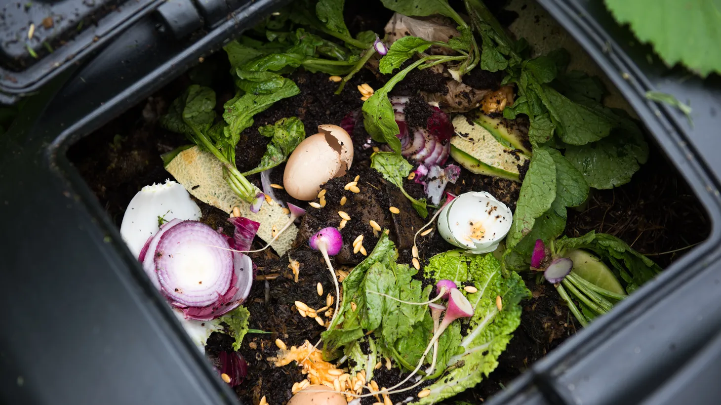 As of January 2023, all California residents and businesses are required to compost.
