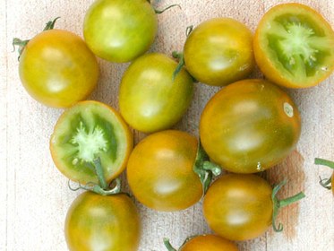Green Grape Tomatoes