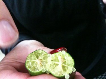 Finger Lime Inside