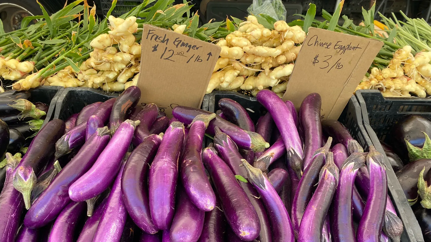 Chinese eggplant along with Fresno Evergreen from Her Produce makes its way down from Central California to the Santa Monica Farmer’s Market each week.