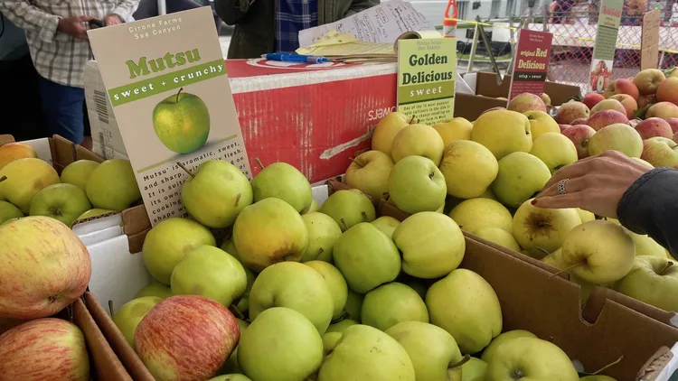 Nicole Rucker of Fat & Flour is using mutsu apples for goods other than pie.