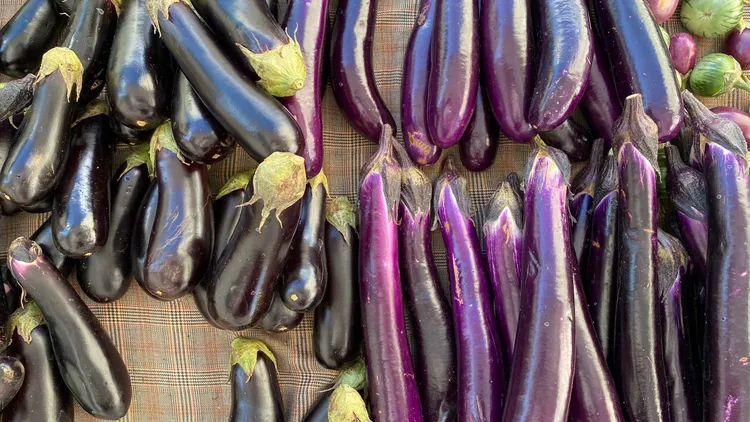 Melissa Lopez shops for eggplant at the farmer's market to top one of her must-have pies.
