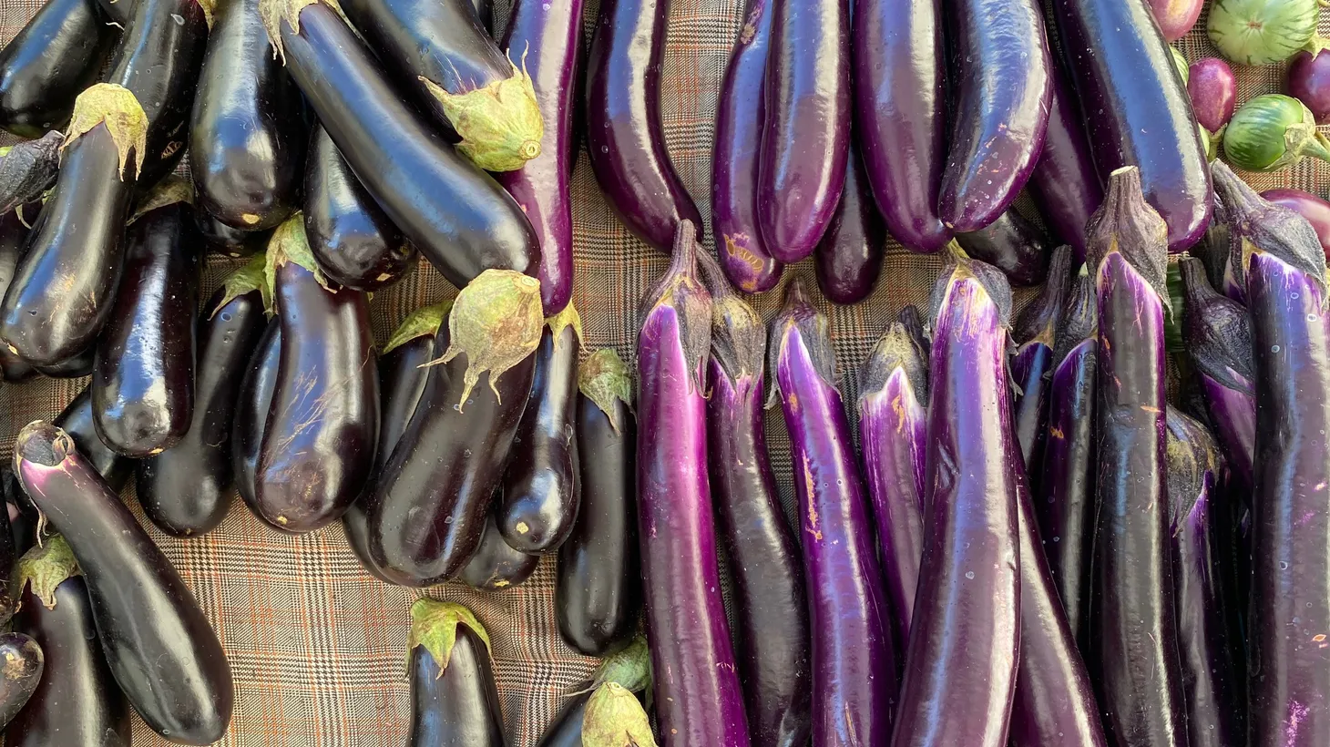 The Chinese and Japanese varieties of eggplant have a slender appearance as opposed to their Italian counterpart.