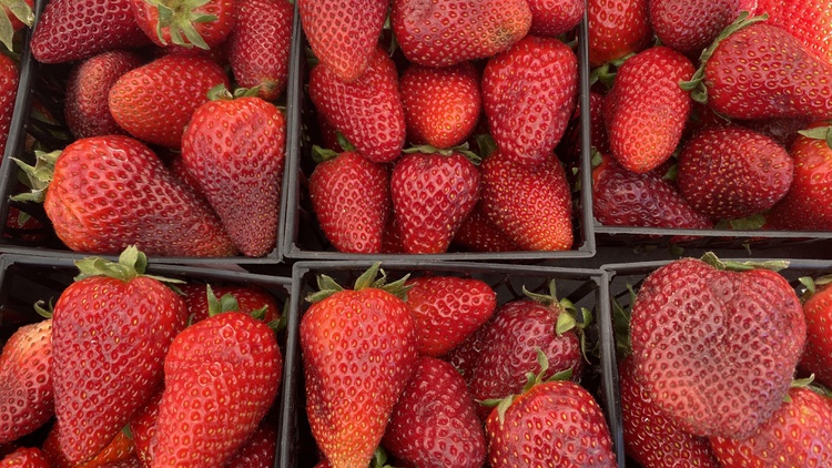 Chef Keith Corbin shops for strawberries to use in a shortcake that reminds him of his grandmother.