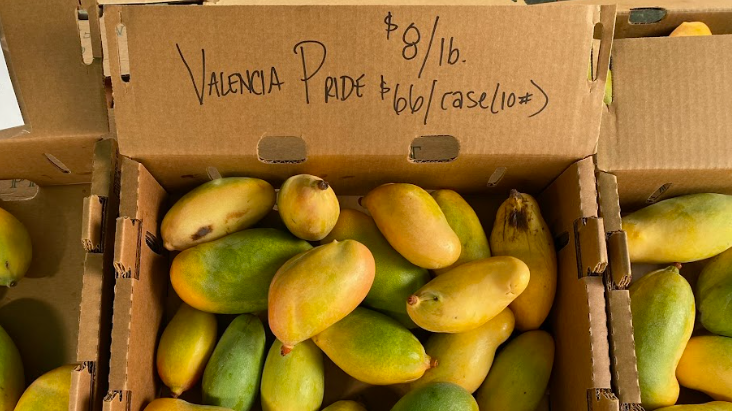 Valencia Pride mangoes from the Coachella Valley can be found in the sticky rice dish at Anajak in Sherman Oaks.