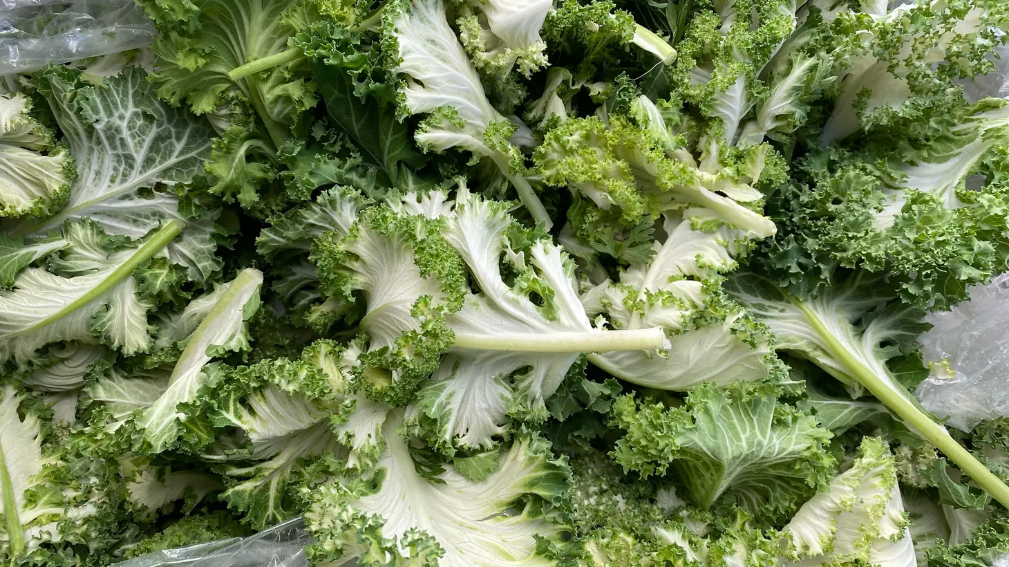 Casper kale is on the table from County Line Harvest at the Wednesday Santa Monica Farmer’s Market.