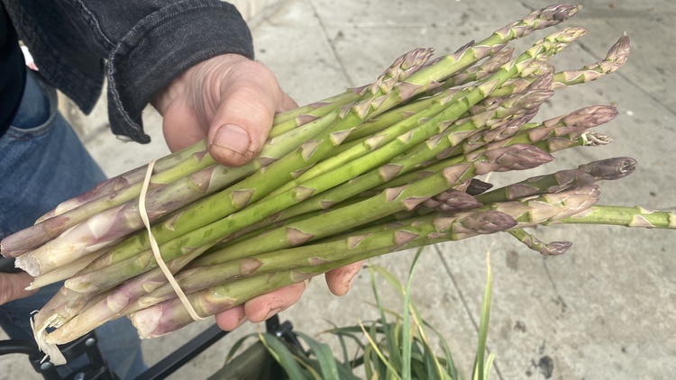 Chez Panisse alum David Tanis shops for asparagus for LULU in Westwood, where he serves a prix fixe lunch menu