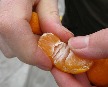 Peeling a Mandarin