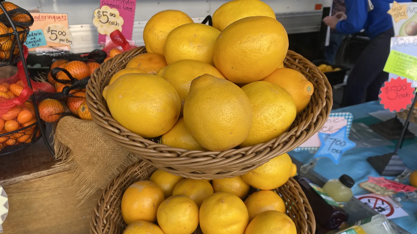 Laura Ramirez of J.J. Lone's Daughter Ranch recommends freezing the juice of Meyer lemons in ice cube trays to extend their use beyond the season.