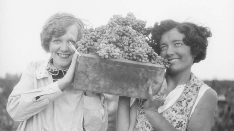 The Ramona Vine has been around longer than the U.S. has been a country. And the first winery in the city of LA since Prohibition has found a unique use for its heritage grapes.