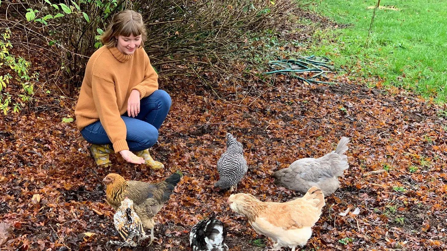 Raising chickens runs in Tove Danovich's family. Her great-grandmother received a coop from her husband as a wedding gift.