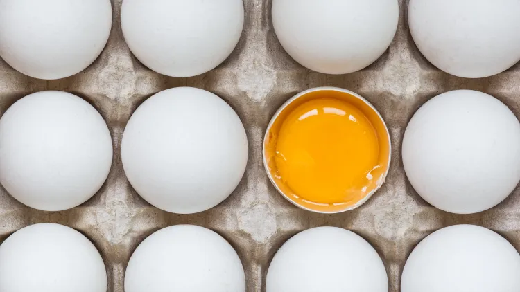Exploring the symbolism, uses, and cultural significance of eggs