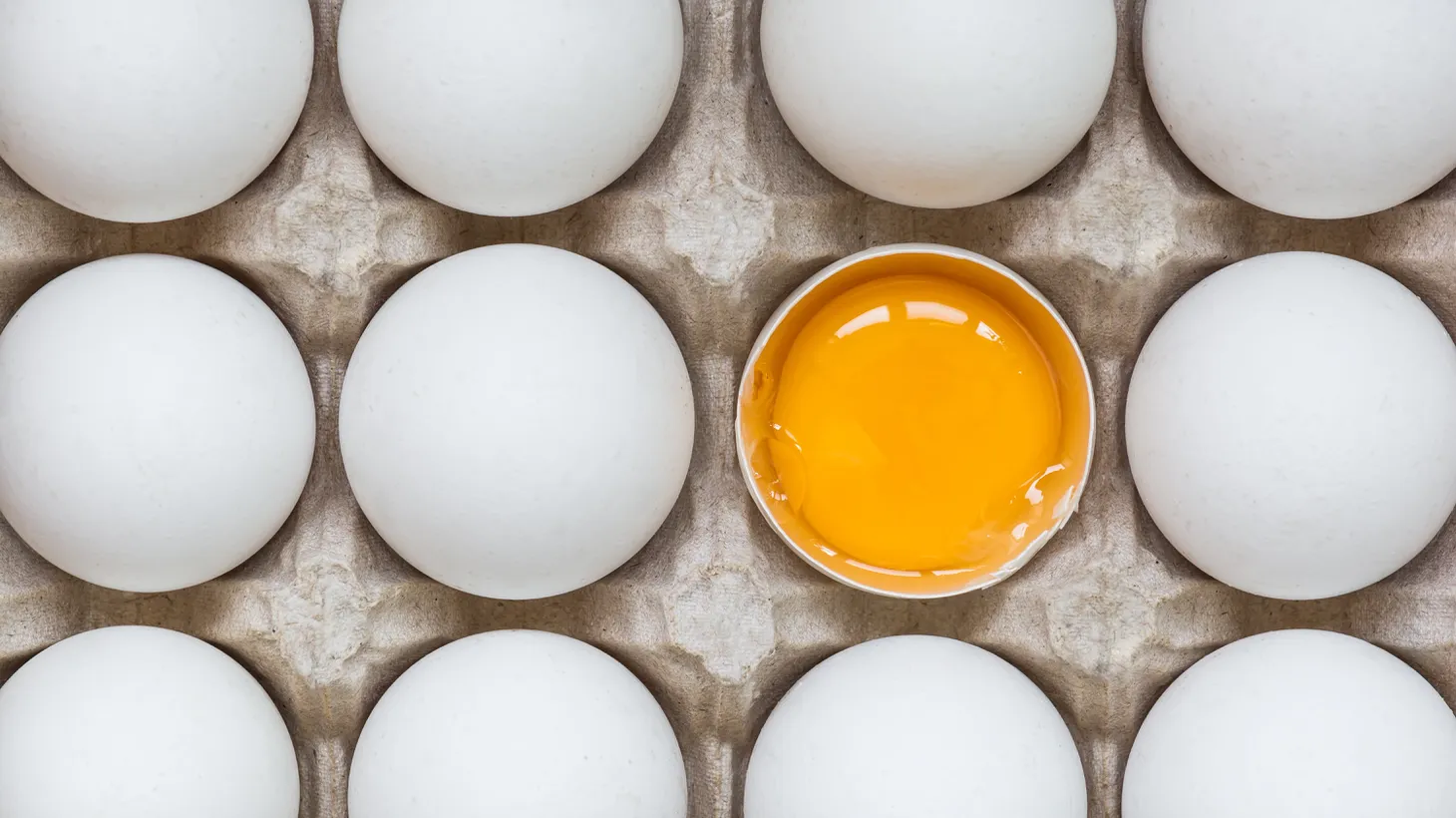 Eggs have more to them than the yolk, white and shell, like the germinal disc that's visible to the naked eye.