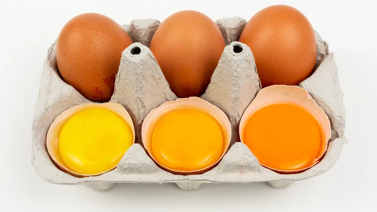 How egg yolks get their color, from mellow yellow to electric orange