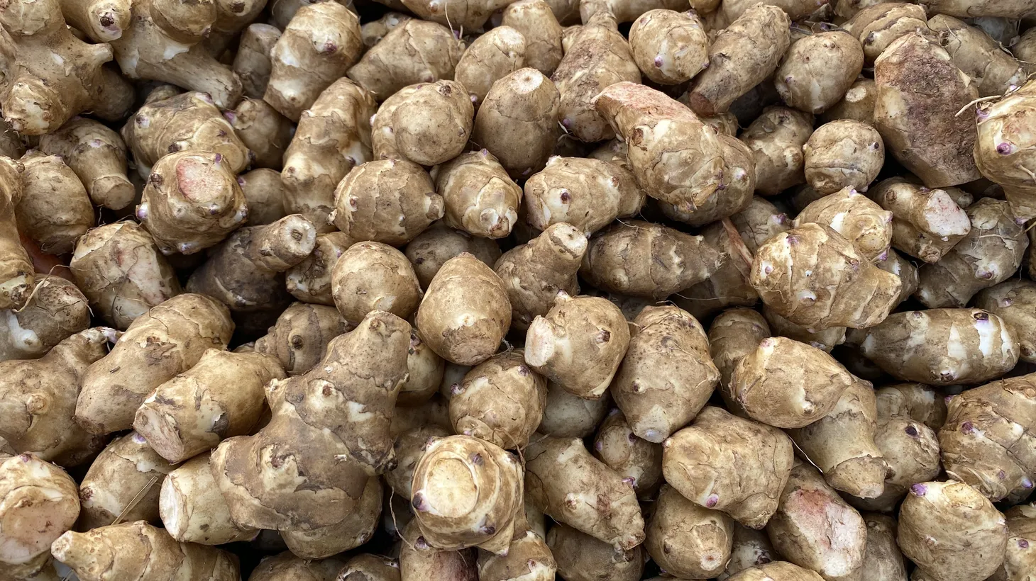 Alex Weiser likens the flavor of sunchokes to fresh jicama, cooked artichoke hearts, or sunflower seeds. They are comparable to a potato in their versatility.