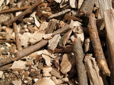 Persimmon Wood