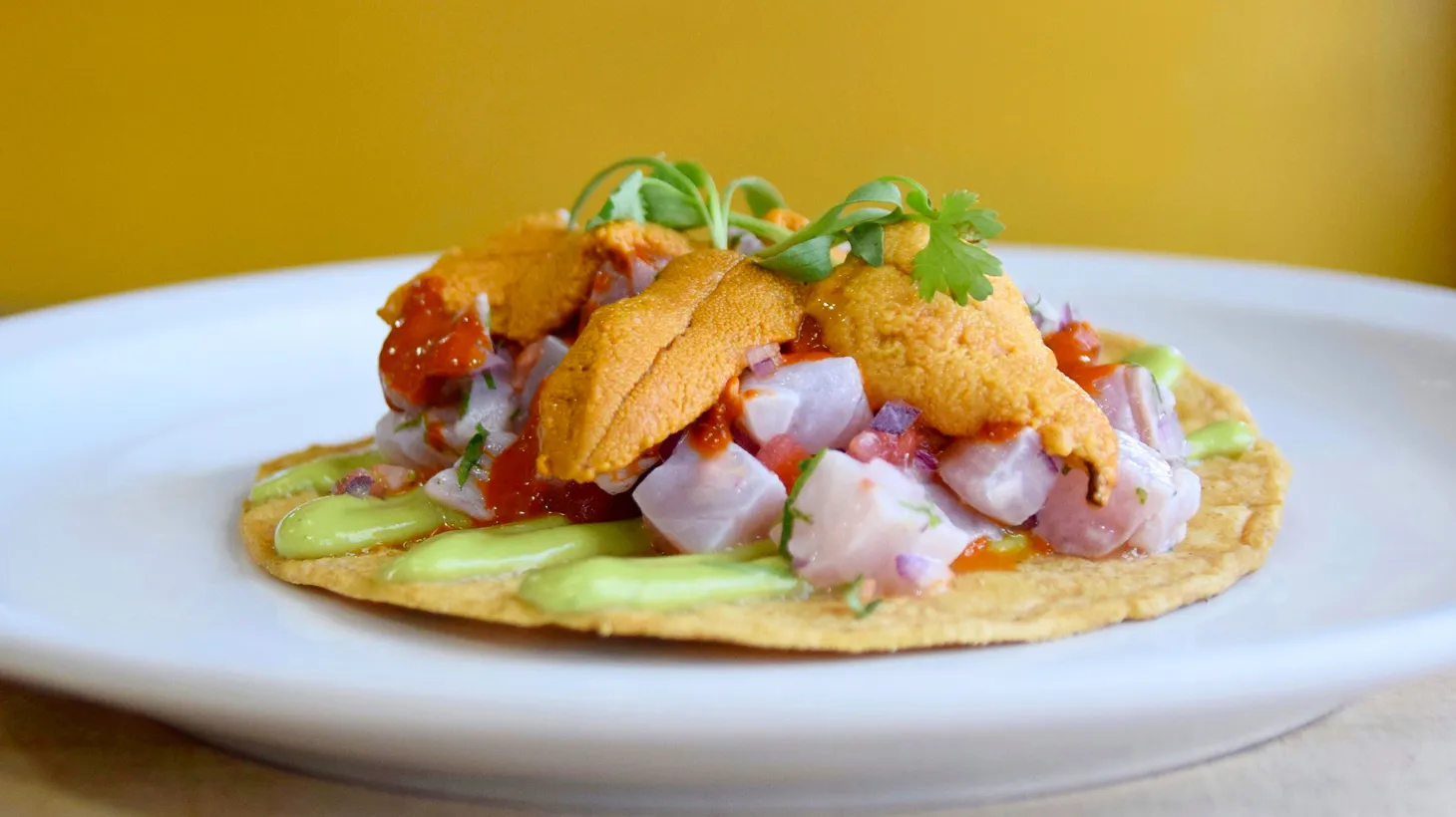 Holbox, located in Mercado La Paloma, serves traditional Yucatán food, including ceviches and agua chiles.