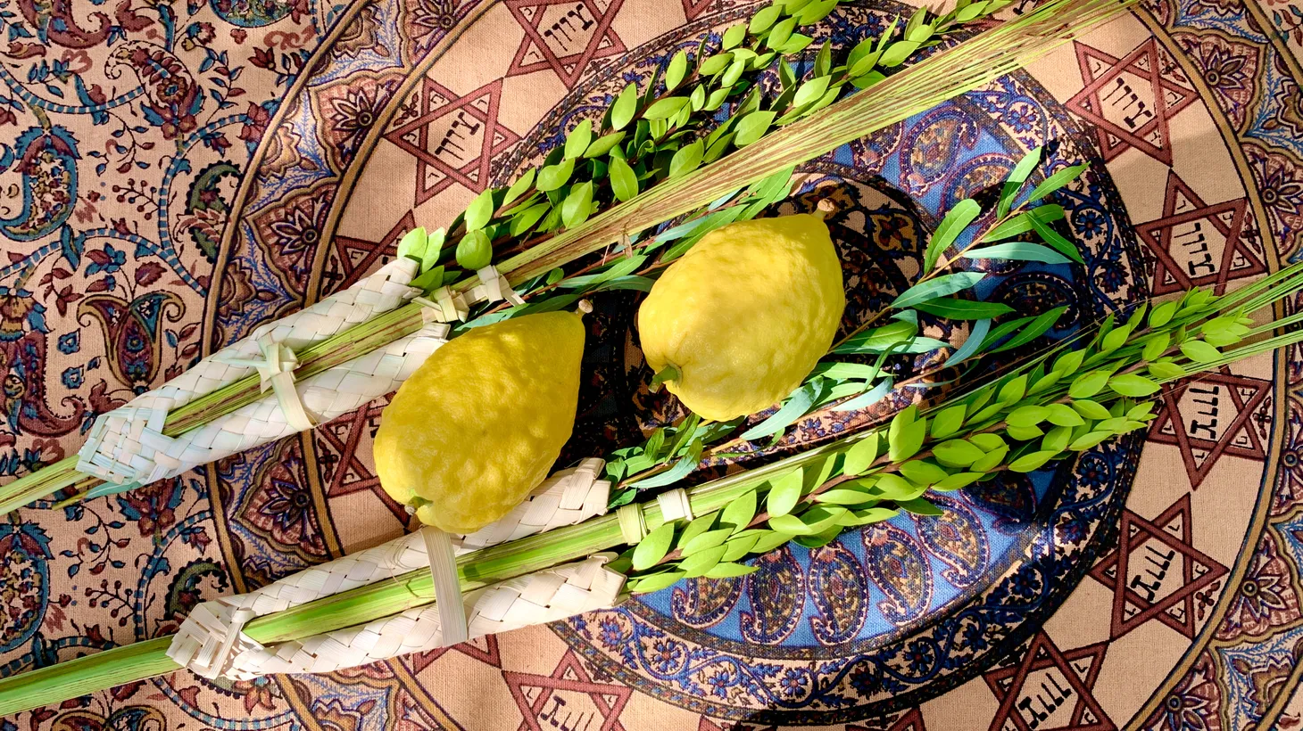 A palm branch (lulav), two willows (aravot), a minimum of three myrtles (hadassim) and one citron (etrog) are the four symbols of vegetation in a Sukkot celebration.