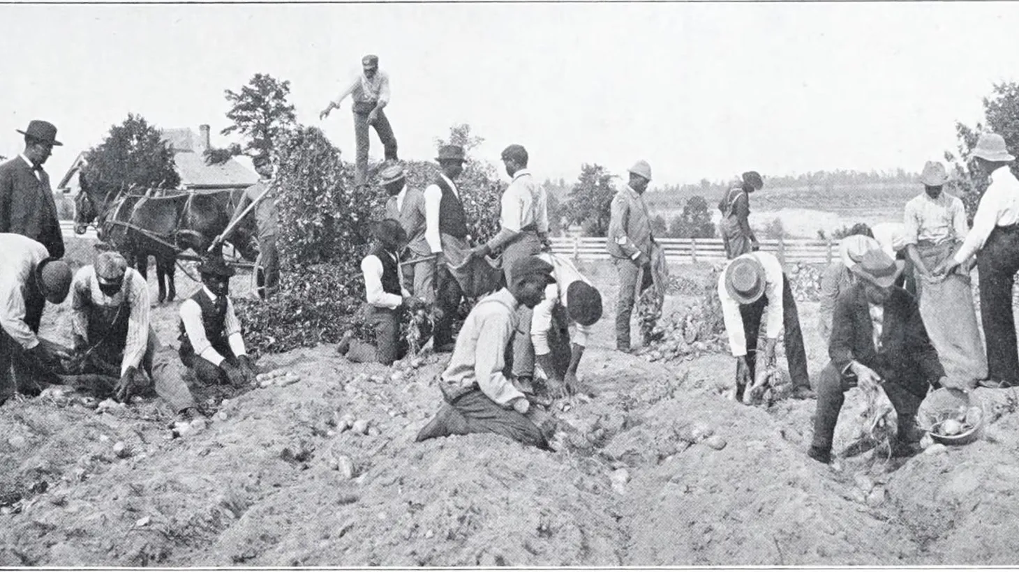 Students from the Tuskegee Institute work on a farm at the school, 1910.
