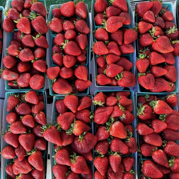 Spring's first strawberries hit the farmers market