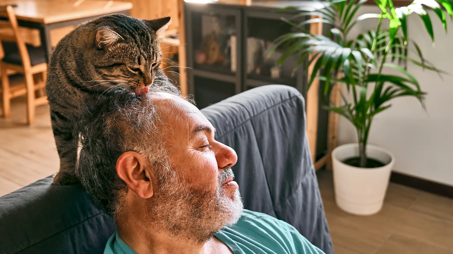 “Cats are as good a predator as there is on the planet,” says evolutionary biologist and author of The Cat’s Meow Jonathan Losos. Their appeal as pets, he says, “is that you've got a little bit of the Serengeti in your own living room.”
