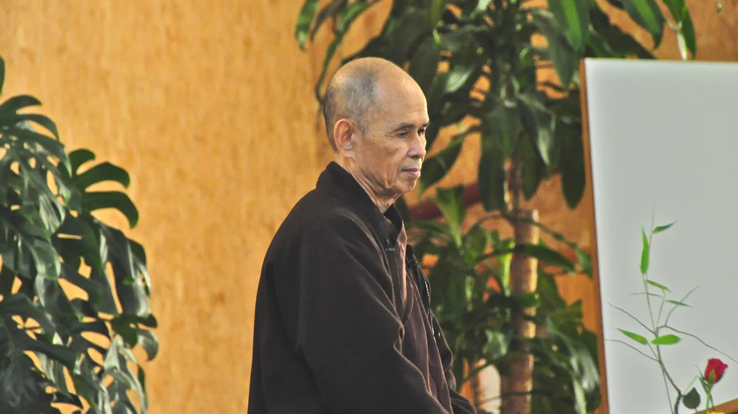Thich Naht Hanh giving two Dharma talks, including one addressing world leaders who are about to convene in Copenhagen to negotiate a new global environmental treaty, November, 2009.