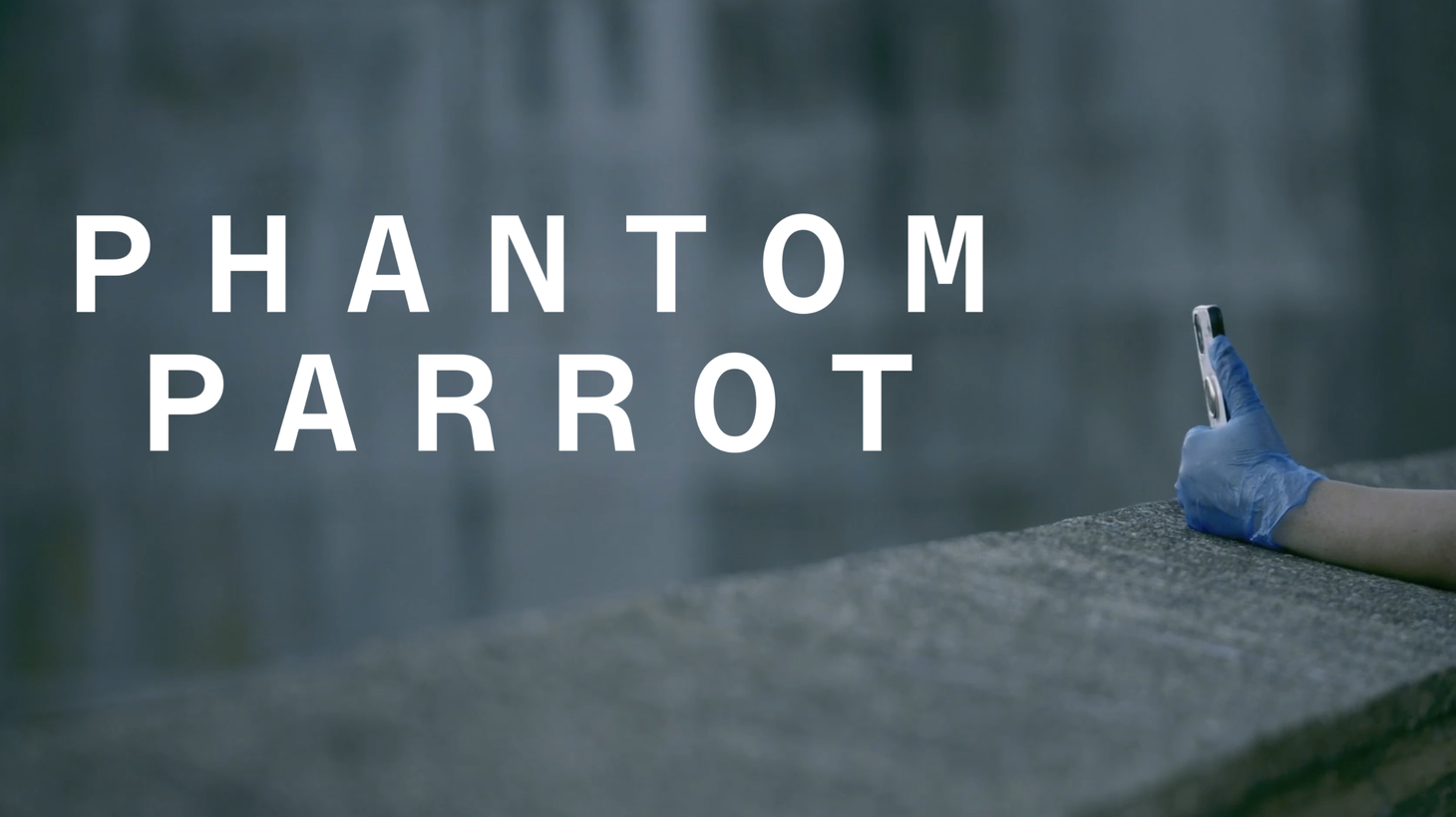 Phantom Parrot, a new documentary by director Kate Stonehill.