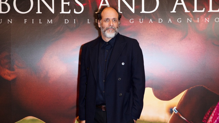 Luca Guadagnino: ‘I am a workaholic’ who toils ‘in every direction’