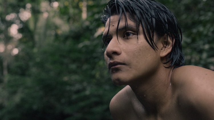 Documentarian Alex Pritz discusses “The Territory,” his latest film about a small indigenous community in the Amazon rainforest fighting to protect their land.
