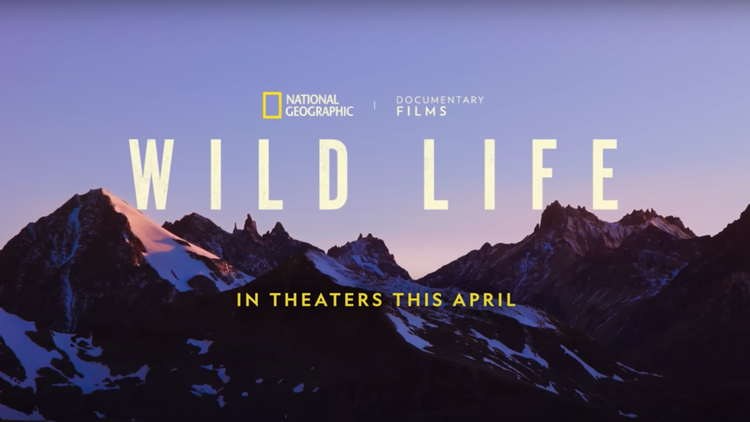“Wild Life” doc directors Jimmy Chin and Chai Vasarhelyi on mortality, making the film, its parallels with their own lives.