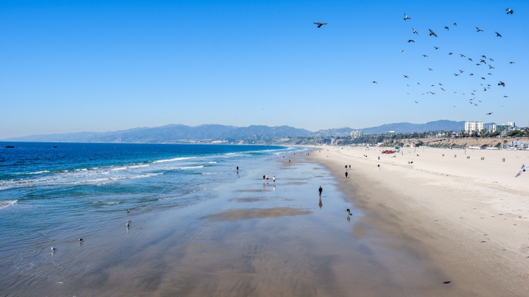 LA is on average more than 4 degrees Fahrenheit hotter than it was in the 19th century.