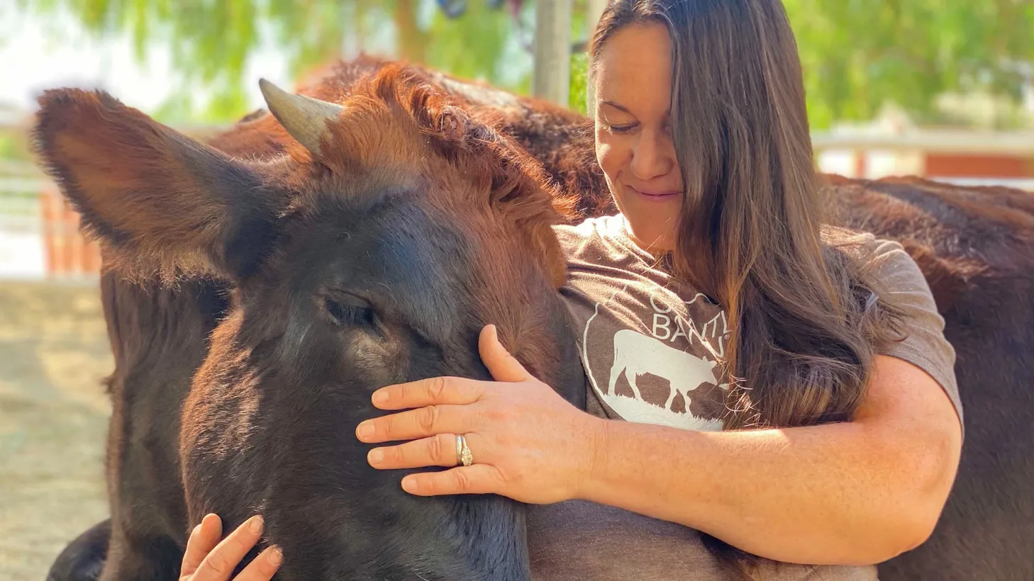 Let go of trauma — pet a bull or hug a cow at The Gentle Barn | KCRW
