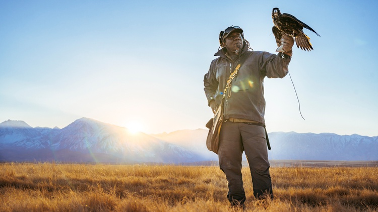 Falconer Shawn Hayes shares his experiences on the front lines of raptor conservation in California, and the racism he’s experienced along the way.