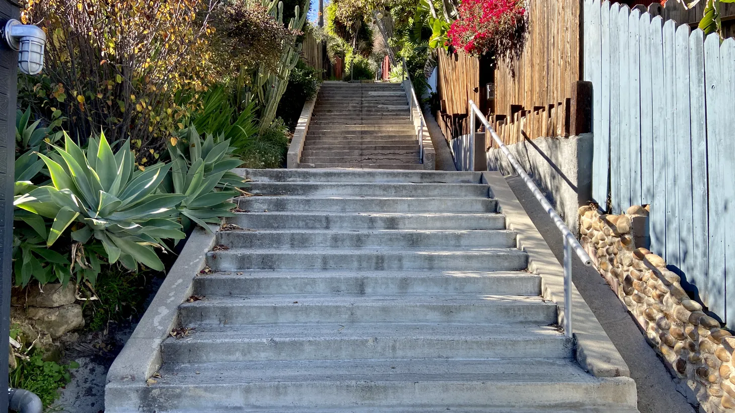 This view shows the first half of the Loma Vista stairs, the tallest stair street in Silver Lake.