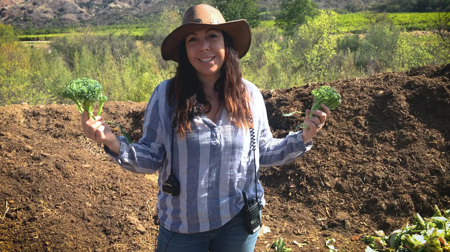 Mollie Englehardt started her farm four years ago to support her local vegan restaurant chain, Sage.