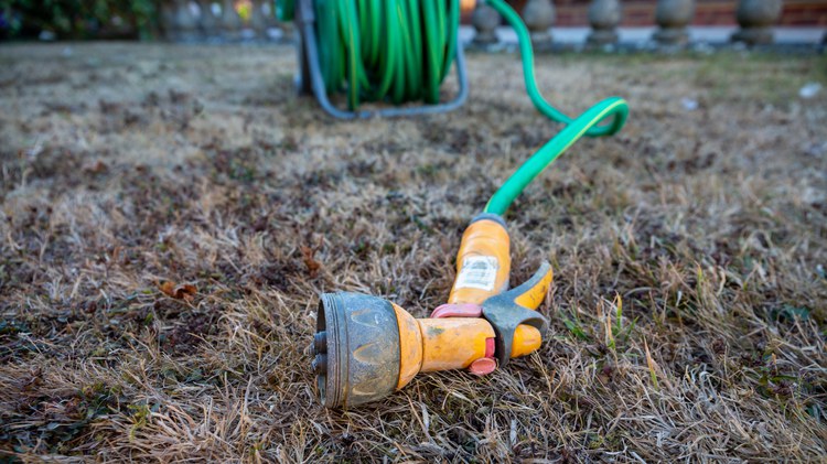 A major water utility in Southern California has asked 4 million of its customers to stop watering their yards for two weeks while the company repairs a pipe.